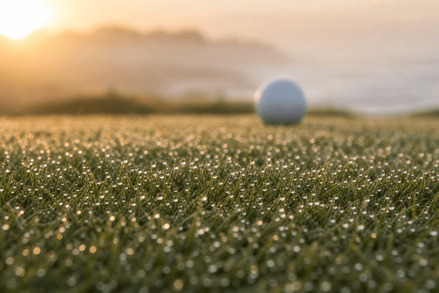 Playing the Sefton Links in May: Conditions, Availability and What to Book Now