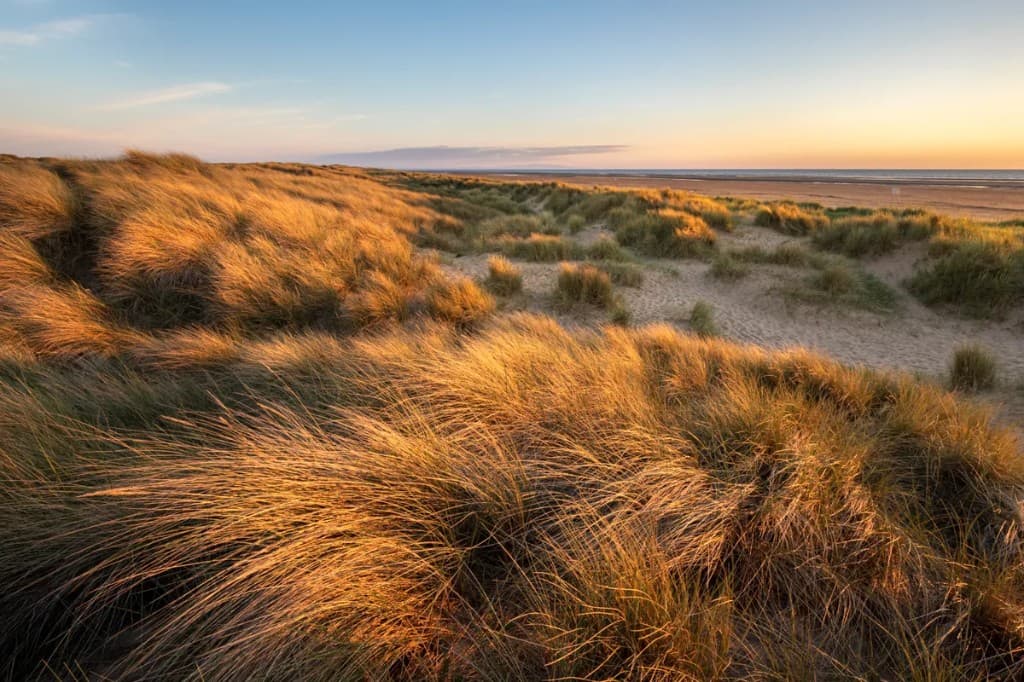 Links Golf for Beginners: What Nobody Tells You Before Your First Round